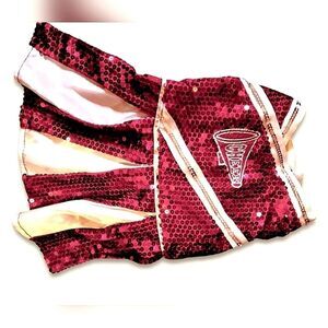 Small Dog Harness and Cheer Costume